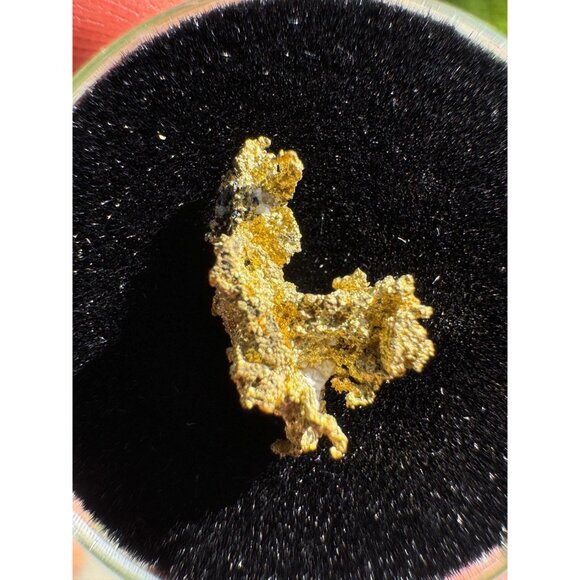 California Native Gold Crystal - 0.56 grams - Picture 6 of 7